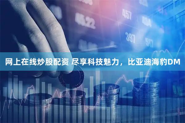 网上在线炒股配资 尽享科技魅力，比亚迪海豹DM