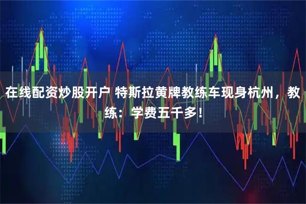 在线配资炒股开户 特斯拉黄牌教练车现身杭州，教练：学费五千多！