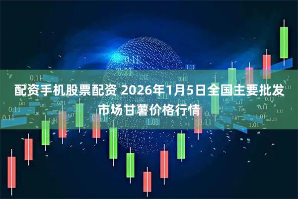 配资手机股票配资 2026年1月5日全国主要批发市场甘薯价格行情